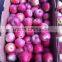 hot season of qinguan Apple