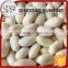 Red coral packing peanuts storage
