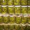 Best selling Pickled cucumbers in jar, pickled gherkins by Hagimex, good quality, cheap price!