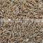 Europe Quality Cumin Seed for best price