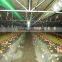 High performance automatic broiler chicken farming equipment