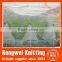 Agriculture plastic insect netting/anti-insect net