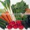 Industrial Vegetable and fruit carrot dryer