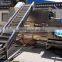 Frozen vegetables production line