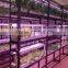 Strawberry Vertical NFT Hydroponic System