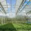 BaoLiDa zigzag greenhouse for vegetables garden greenhouse