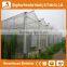 Heracles Versatile Multi Span Poly Film Greenhouse for Hydroponic Growing Systems of NFT And Soilless Systems