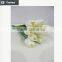 Hot selling tulip for home decoration pieces and Valentine's day gift flower