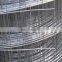 Galvaized/PVC Coated Welded Wire Mesh (AYW-007)