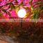 Made in China solar led outdoor spotlights of CE and ISO9001 standard