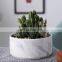 Office desktop green plant flowers micro landscape Nordic indoor potted ornaments indoor bonsai
