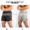Clothing wholesale custom summer thin training shorts solid color cotton large size men's shorts sports pants