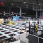 Professional Gymnastic Kids Jumping indoor Trampoline OL-BC015