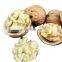 high quality chinese organic halves walnut kernel for Peru India Vietnam USA France Philippines Nepal Morocco Bangladesh Canada