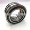 SL045010 full complement Sealed double row cylindrical roller bearing SL045010PP