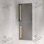 ICS TRIPLEX T8111C Trusted TMR Expander Processor Module