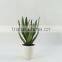 Best selling high simulation medium size green artificial succulent /cactus with melamine pot