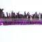 Wholesale Rooster Synthetic Feather Trim For Ribbon