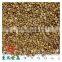 roasted buckwheat Organice grains wholesale