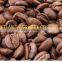 HIGH QUALITY ROBUSTA COFFEE BEANS