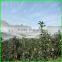HDPE Hail Netting Anti Hail Netting Plastic Anti-hail Nets