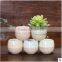 2016 Small ceramic & Enamel table garden pot table flower pot for succulent plants