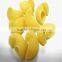 Chips pellet/macaroni pasta making machine