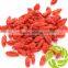 Super china natural herb medicines dried fruit tea gouqizi relieve cough dried wolfberry medlar goji berry herbal tea