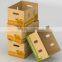 Small white vegetables fancy dry fruits box