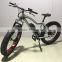 china classical MTB bike electric motorcycle with double pedals