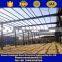 China supplier large span light steel structure workshop warehouse