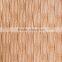 Fashional 3D Looking Livingroom Carpet