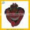 The clown pin badge, red enamel lapel pin