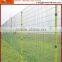 highway fence,welded wire mesh PVC coated holland fence