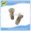 Shenzhen customized high precision metal flat head screw
