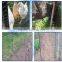 Small Hole Chicken Wire Mesh
