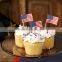 flag bamboo toothpicks american