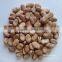 Good Quality Dry Broad Bean/fava grain crop/pulses