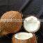 Indian Organic natural coconut