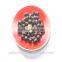 Palarich 2016 hot selling delectable fruit grape chocolate crisps 013