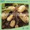 Popular saled 20-35 Hp potato seeder
