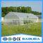 vegetable greenhouse