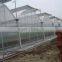 Aquaponic Tomato Greenhouse For Sale