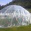 100% virgin materials greenhouse film, Clear Plastic Film, Polyethylene Covering