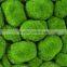 SJ1411420 Lasting preserved moss mat Dried moss