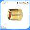 male thread hex head brass pipe plug
