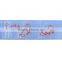 Custom Printed Grosgrain Ribbon