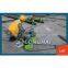 Heavy Pushing Hydraulic Cylinder System By Railway-LHT