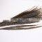 best quality 30-40cm pheasant feather