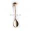 Custom nice gold engraved decorative salt spoon